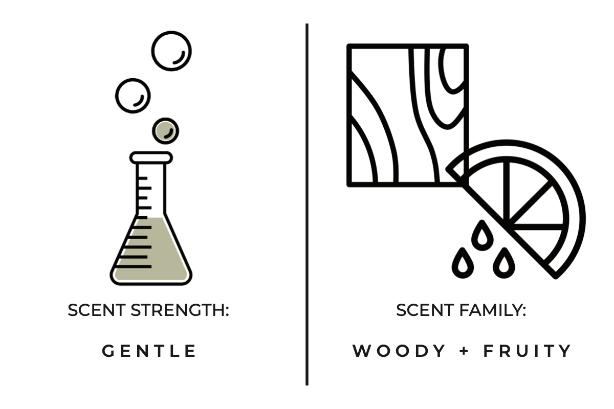 Stargazing  Room / Linen Spray